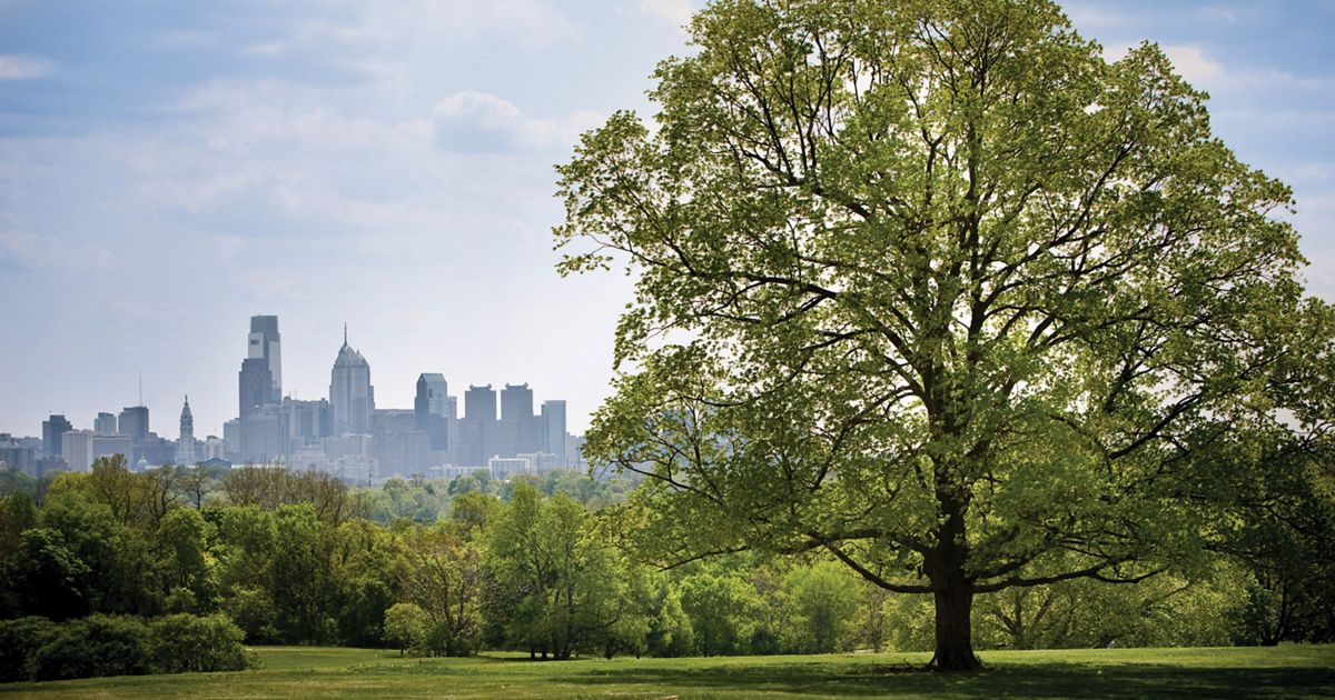 Belmont plateau