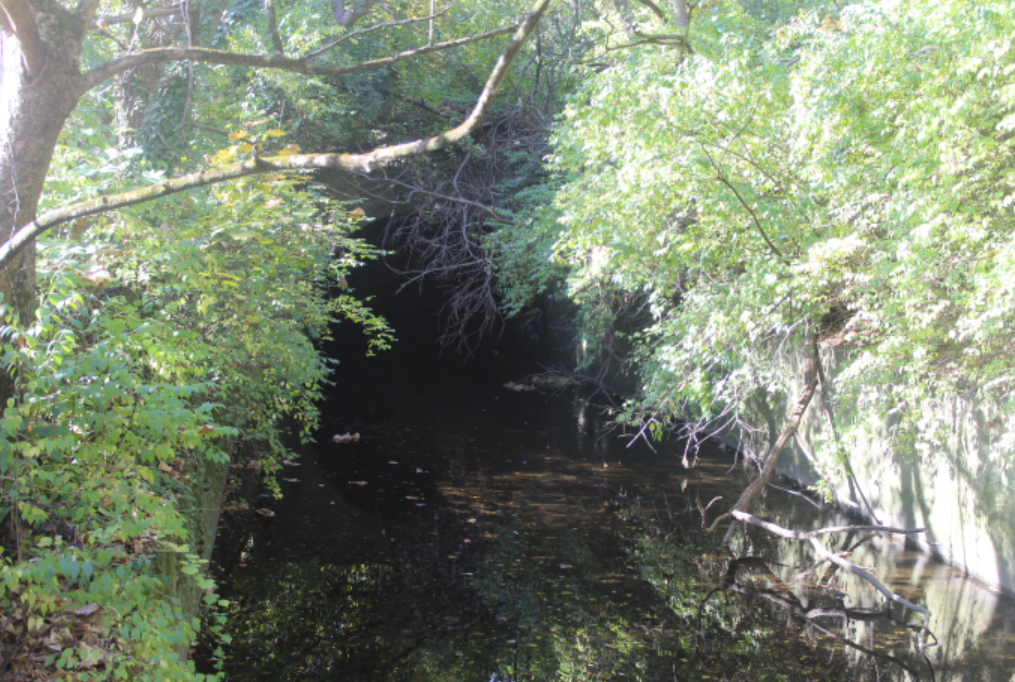 Image of the Combined Sewer Overflow (CSO) near Naylor’s Run at Cobbs Creek Park