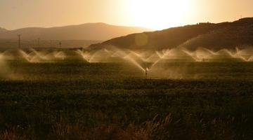 Irrigation landscape image